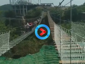 沈陽步步驚心項(xiàng)目 沈陽步步驚心項(xiàng)目