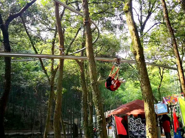 叢林軌道滑索 叢林軌道滑索