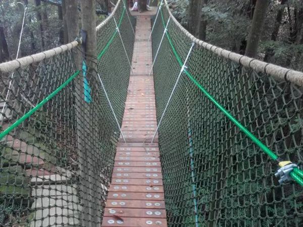 叢林穿越游樂項(xiàng)目 叢林穿越游樂項(xiàng)目